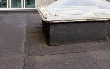 disadvantages of Denwick flat roofs