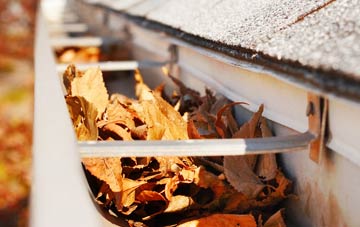 Denwick gutter cleaning companies