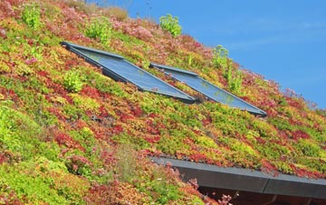 Denwick living roof systems