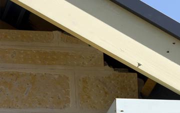soffit repair Denwick