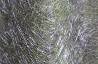 Denwick fibreglass roof work