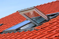 Denwick roof window